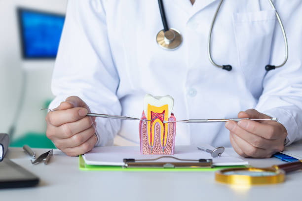 Best Emergency Dental Extractions in Herndon, VA